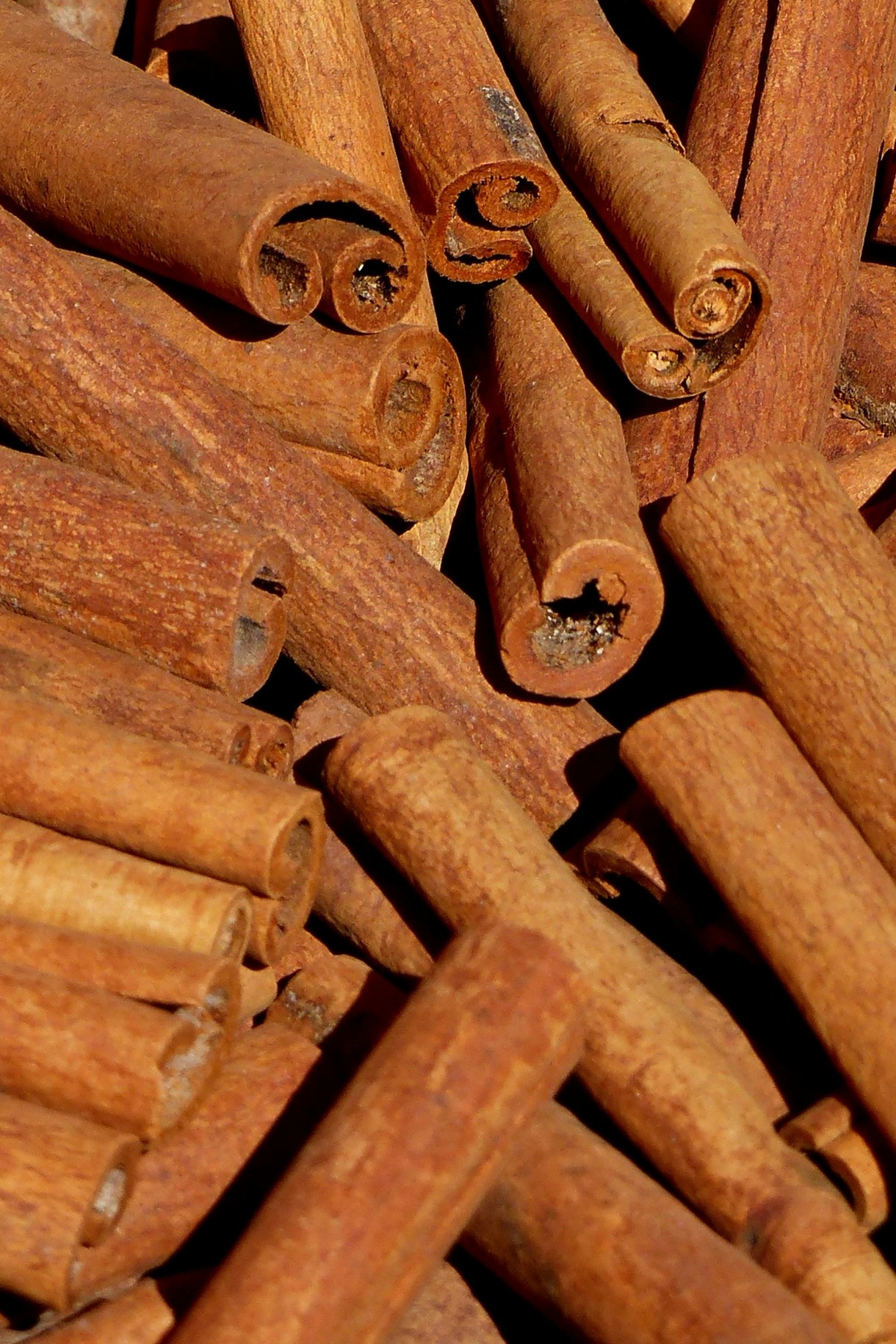 1-pexels-atypeek-13526307